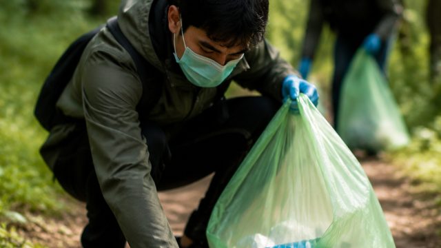 Understanding the Impact of 'Disclosure Day' on Environmental Awareness